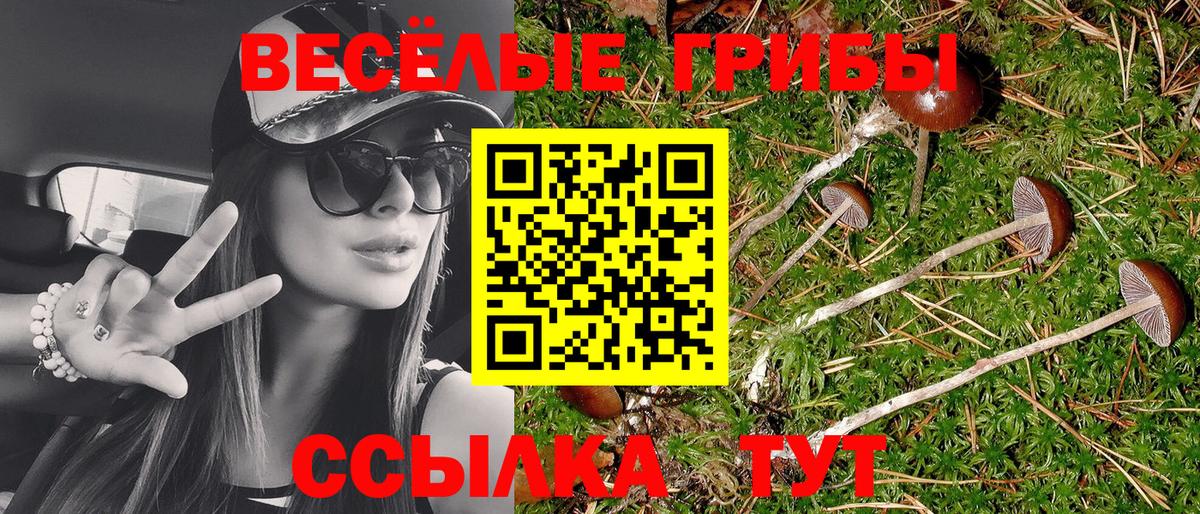 ГАШ Россия
