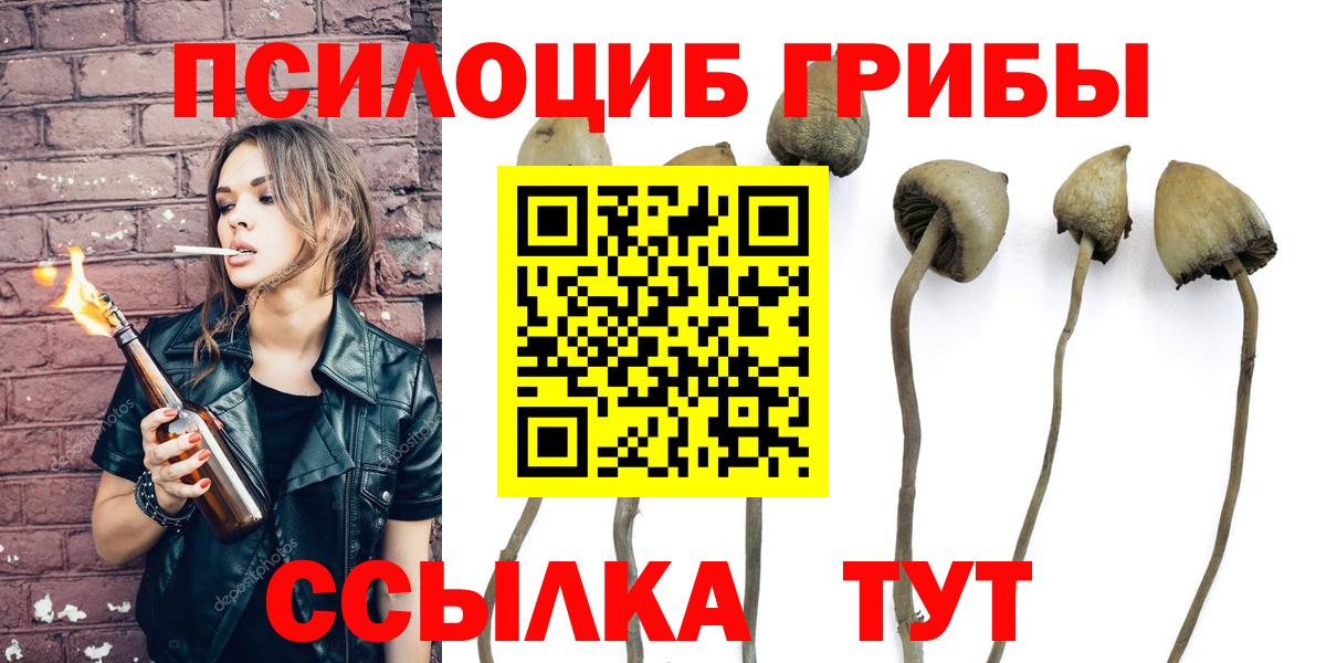 Россия  Галлюциногенные грибы MAGIC MUSHROOMS  как найти закладки  Вход с VPN 